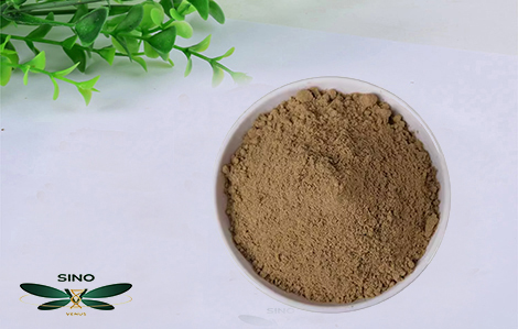 Sustainable Gardening Practices embracing methods blog