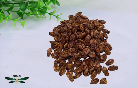 Sustainable Gardening Practices embracing methods blog