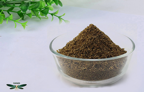 Sustainable Gardening Practices embracing methods blog