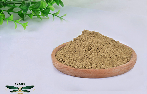 Sustainable Gardening Practices embracing methods blog