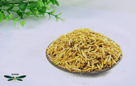 Sustainable Gardening Practices embracing methods blog