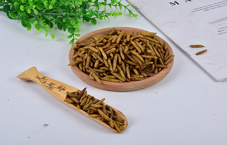 Sustainable Gardening Practices embracing methods blog