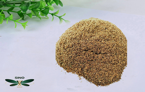 Sustainable Gardening Practices embracing methods blog