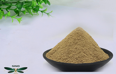 Sustainable Gardening Practices embracing methods blog