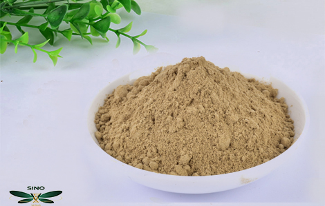 Sustainable Gardening Practices embracing methods blog