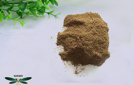 Sustainable Gardening Practices embracing methods blog