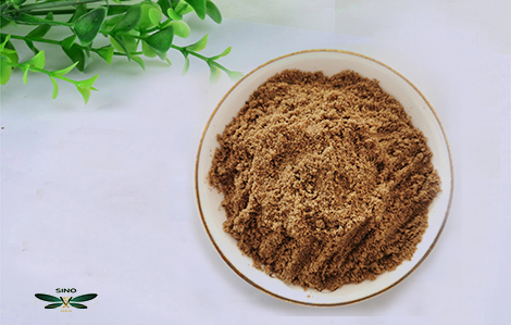 Sustainable Gardening Practices embracing methods blog