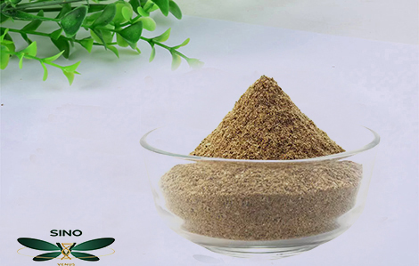 Sustainable Gardening Practices embracing methods blog